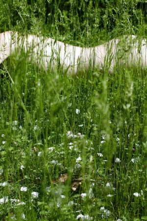 Chaudes nuits à Le Havre Julia - rencontre-Teen-Ivry-sur-Seine